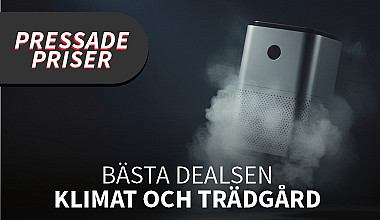 Hem och trädgård