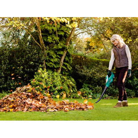 Bosch Garden - ALB 18 LI 18V 1X25AH Bosch Garden - ALB 18 LI 18V 1X25AH