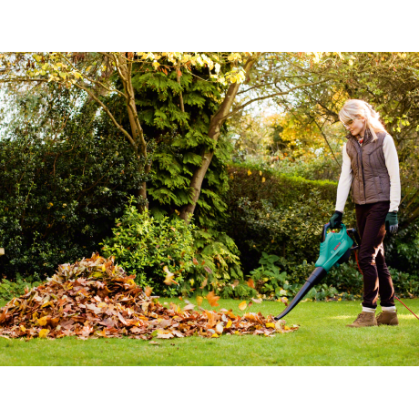 Bosch Garden - ALS 2400 Bosch Garden - ALS 2400