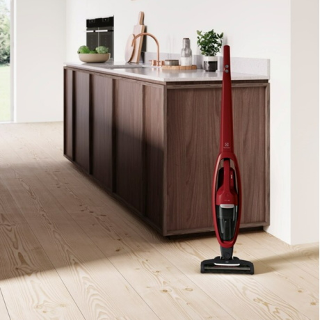 Electrolux - skaftdammsugre WQ61-ANIMA Electrolux - skaftdammsugre WQ61-ANIMA