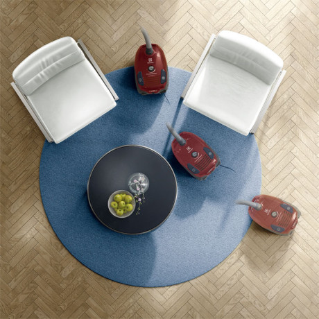 Electrolux - EPF6ANIMAL Electrolux - EPF6ANIMAL