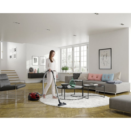 Electrolux - EPF6ANIMAL Electrolux - EPF6ANIMAL