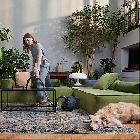 Hoover - HE2 Home  - Blå, Kraftfull 850W motor för djupgående rengöring