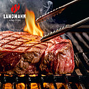 Landmann - Avalon Hybrid 4.1 MaxX - gas & kol, infraröd zon