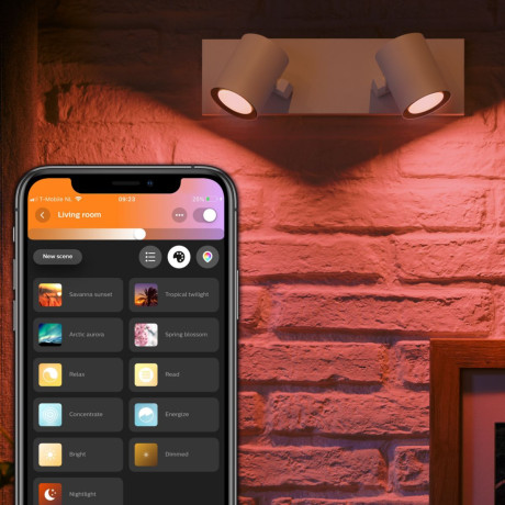 Philips Hue - White and Color Ambiance Argenta dubbel spotlight Philips Hue - White and Color Ambiance Argenta dubbel spotlight