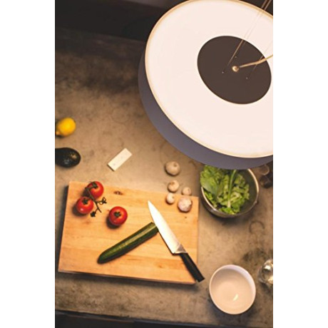 Philips Hue - Fair HUE pendant white 1x39W 24V Philips Hue - Fair HUE pendant white 1x39W 24V
