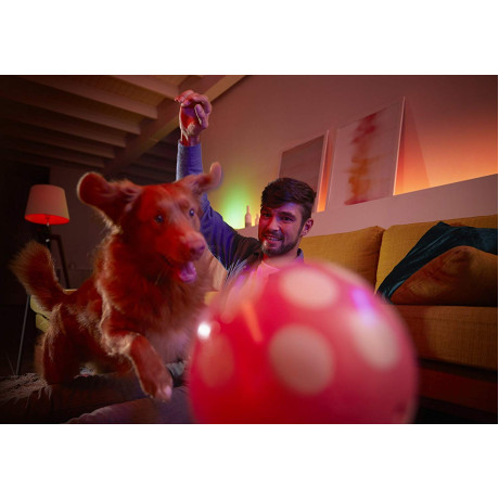 Philips Hue - 10W A60 E27 Philips Hue - 10W A60 E27