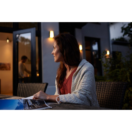 Philips Hue - White 95W A60 E27 set Philips Hue - White 95W A60 E27 set