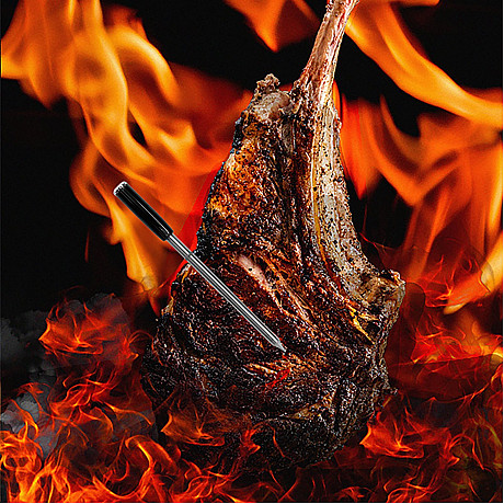 The MeatStick - PM901BX - Stektermometer trådlös med WIFI