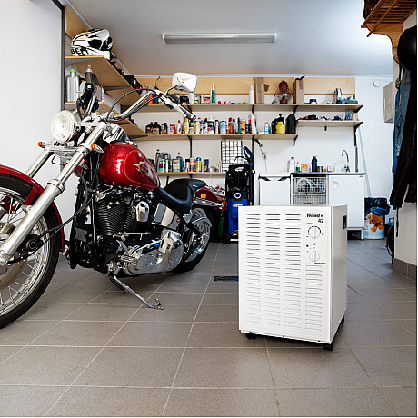 Woods - SW42FW - Passar till garage & källare